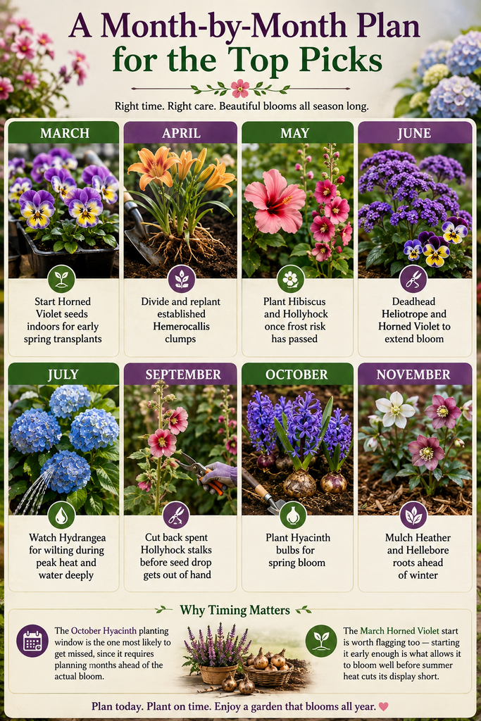 A Month-by-Month Plan for the Top Picks